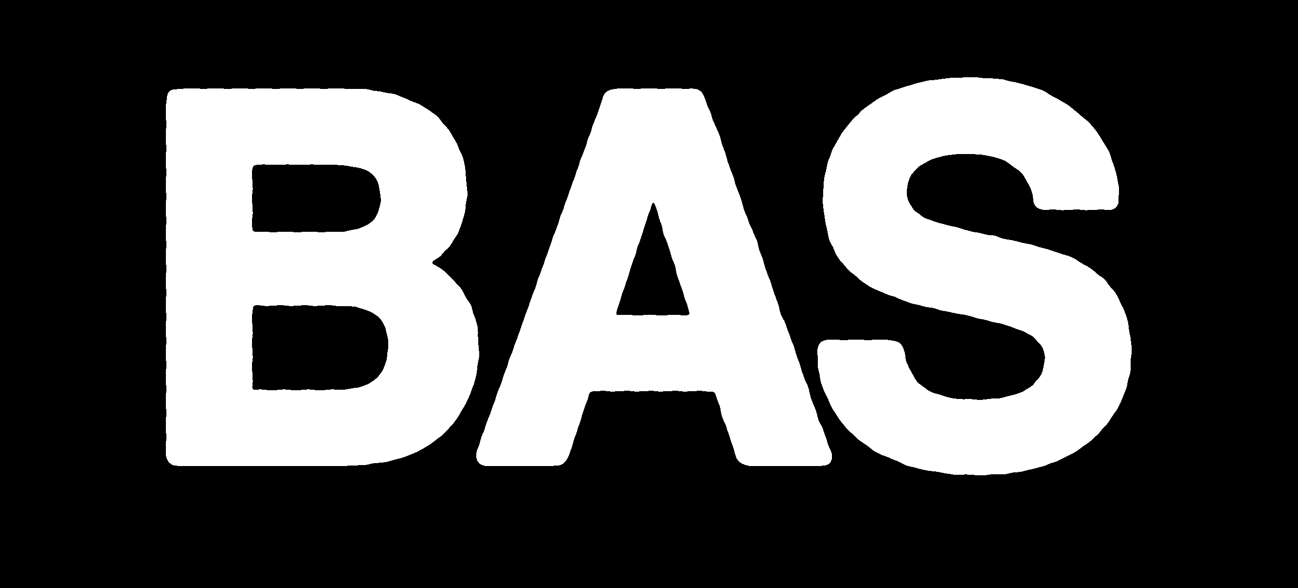 Bas Rewinkel